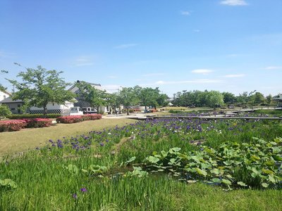 🏯 빗추 다카마쓰 성터 공원(빗추타카마쓰조시코엔)